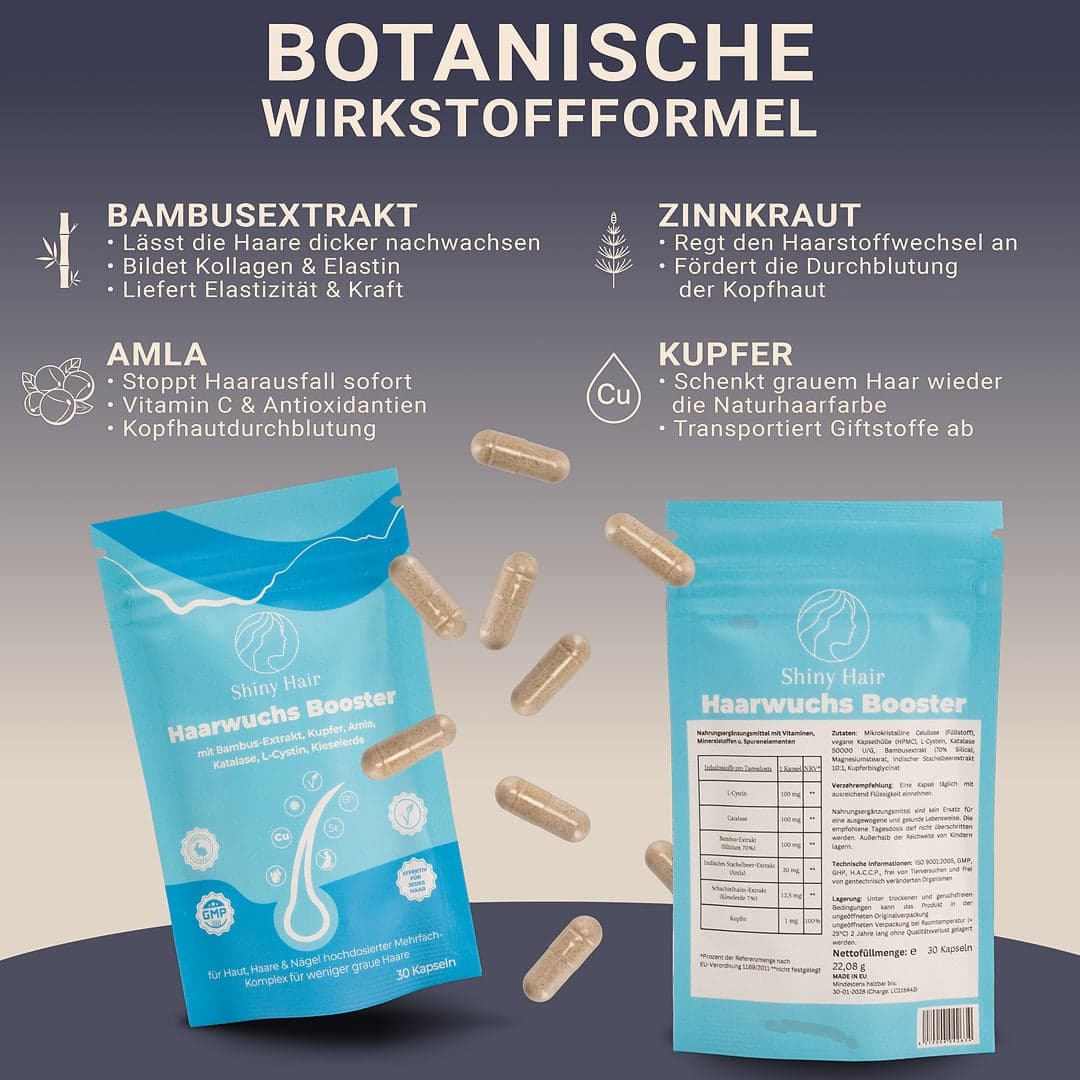 Vorschaubild 8