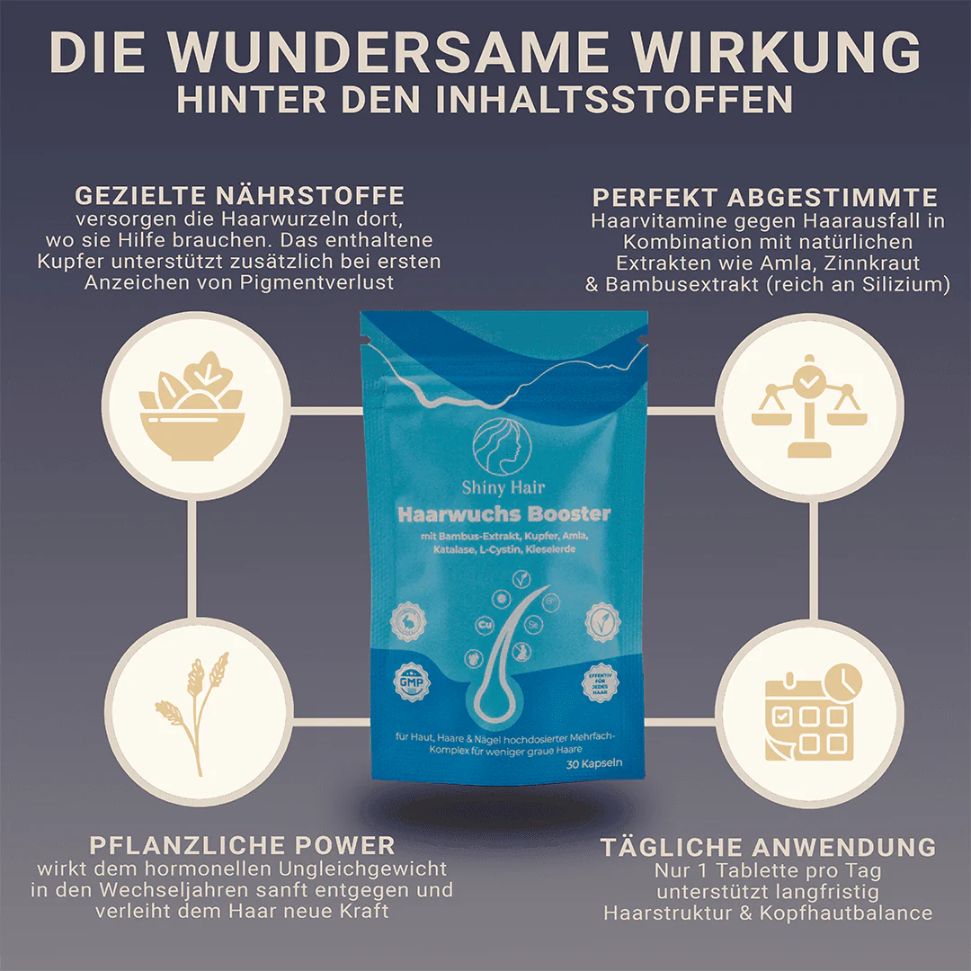 Vorschaubild 6