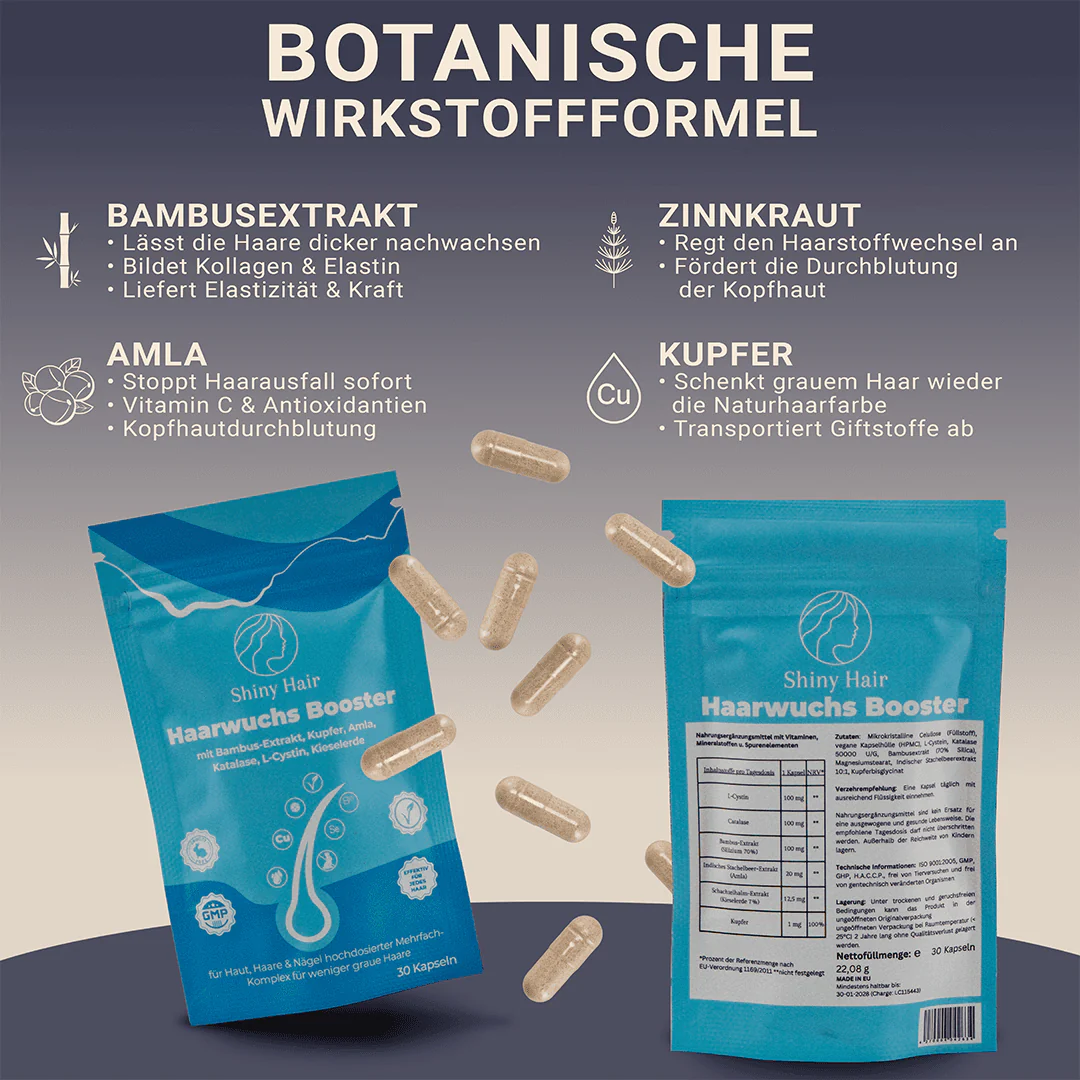 Vorschaubild 5