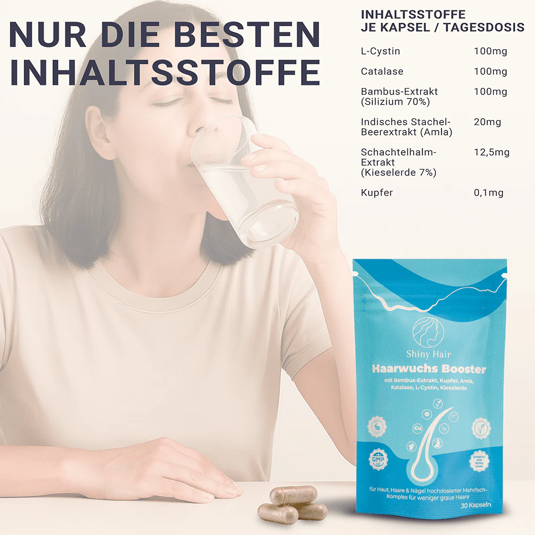 Vorschaubild 11