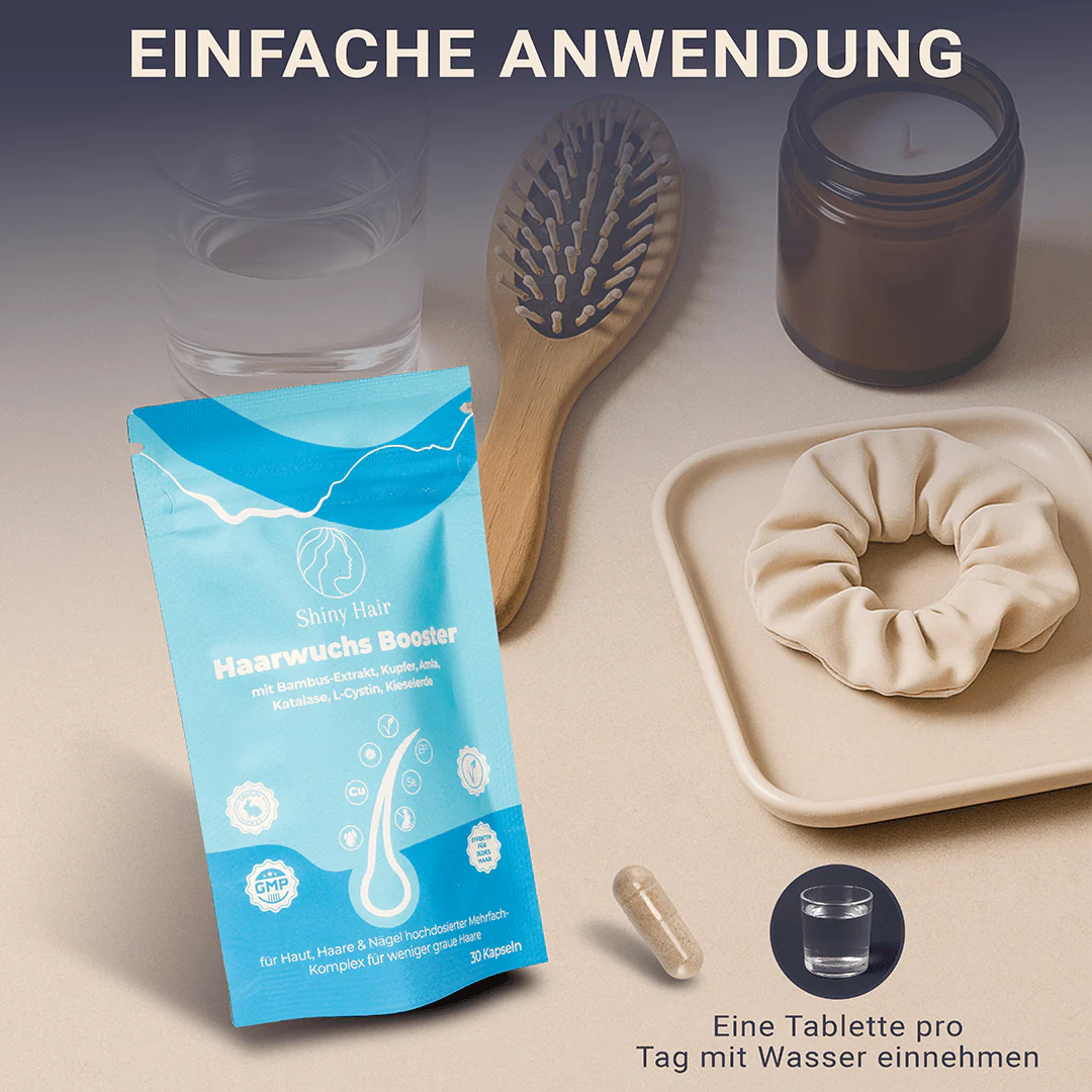 Vorschaubild 11