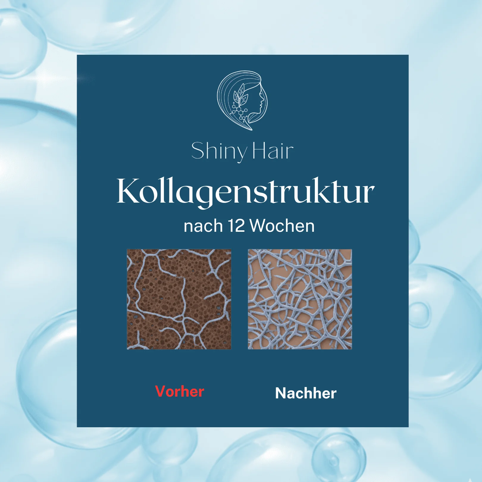 Vorschaubild 7