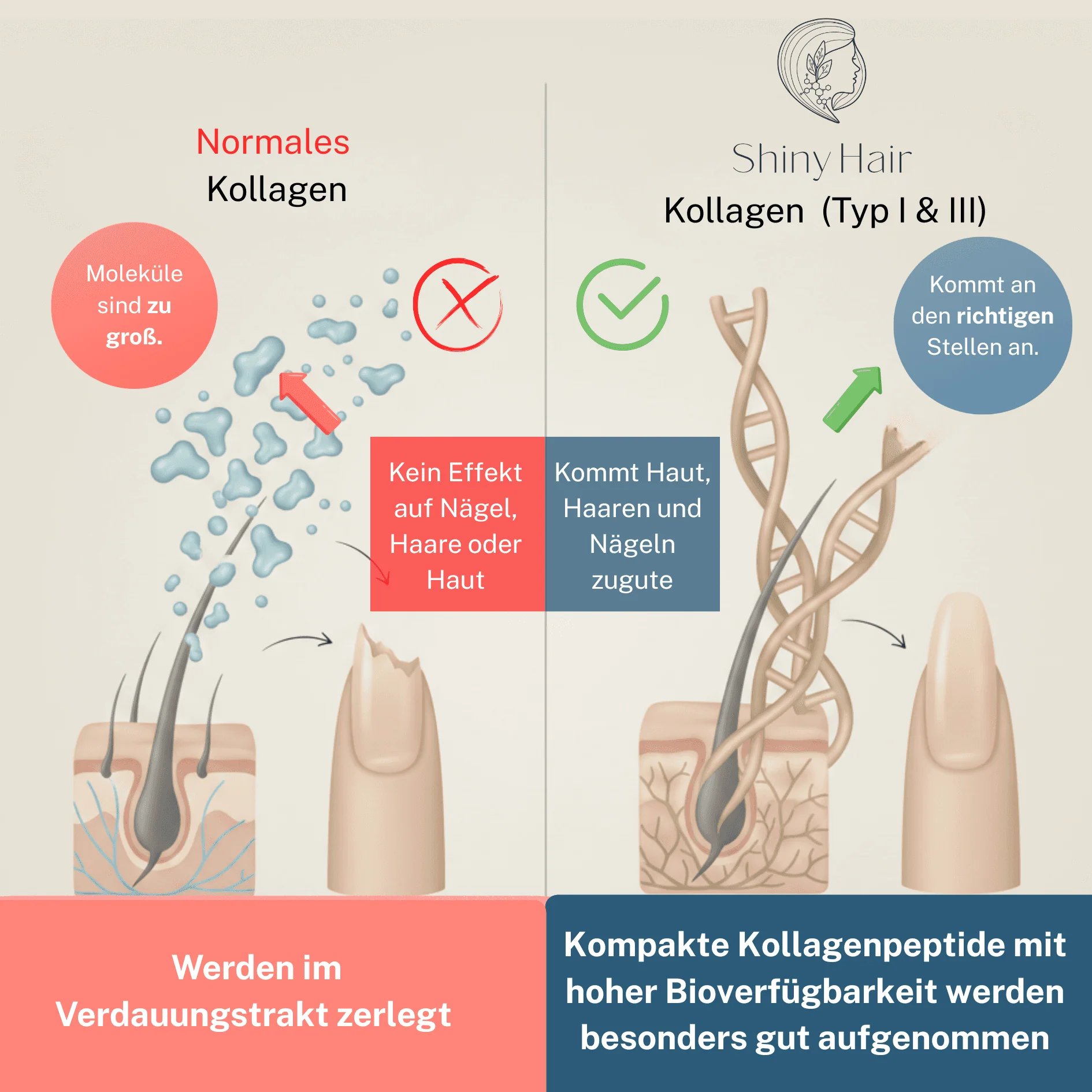 Vorschaubild 8
