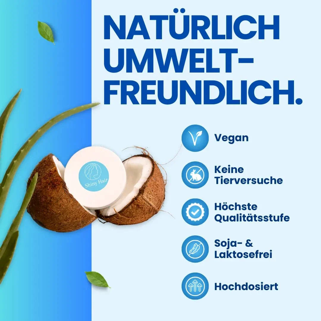 Vorschaubild 7